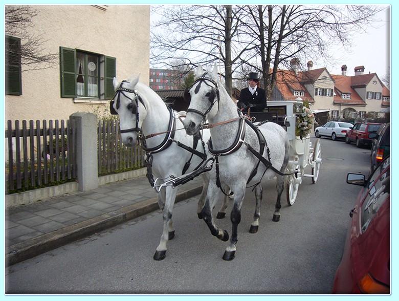 wei&szlig;e viersitzige Berline (Hochzeitskutsche) der Kutscherei Hans Holzmann in M&uuml;nchen Schwabing