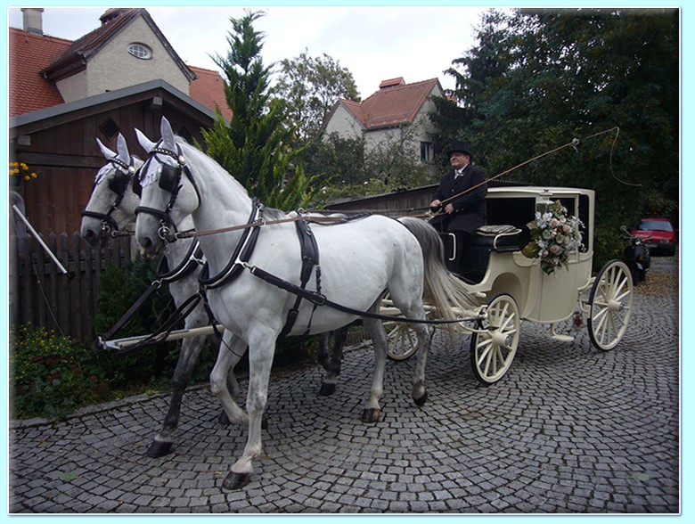 wei&szlig;e zweisitziges Coupe (Hochzeitskutsche) der Kutscherei Hans Holzmann in M&uuml;nchen Schwabing